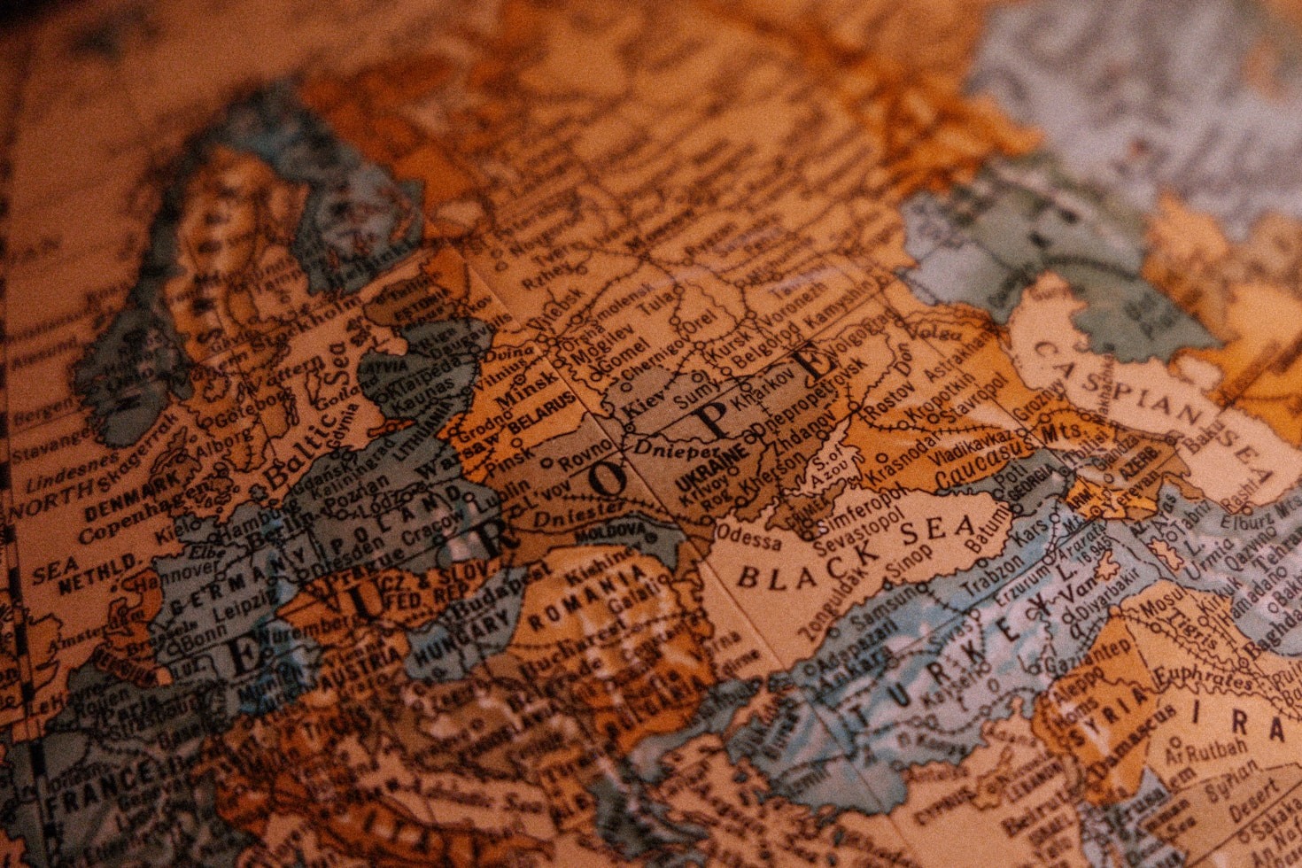 Connecting Expertise: Success Stories from the Congolese Community